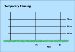 Temporary Electric Fencing Spacing for Sheep Info